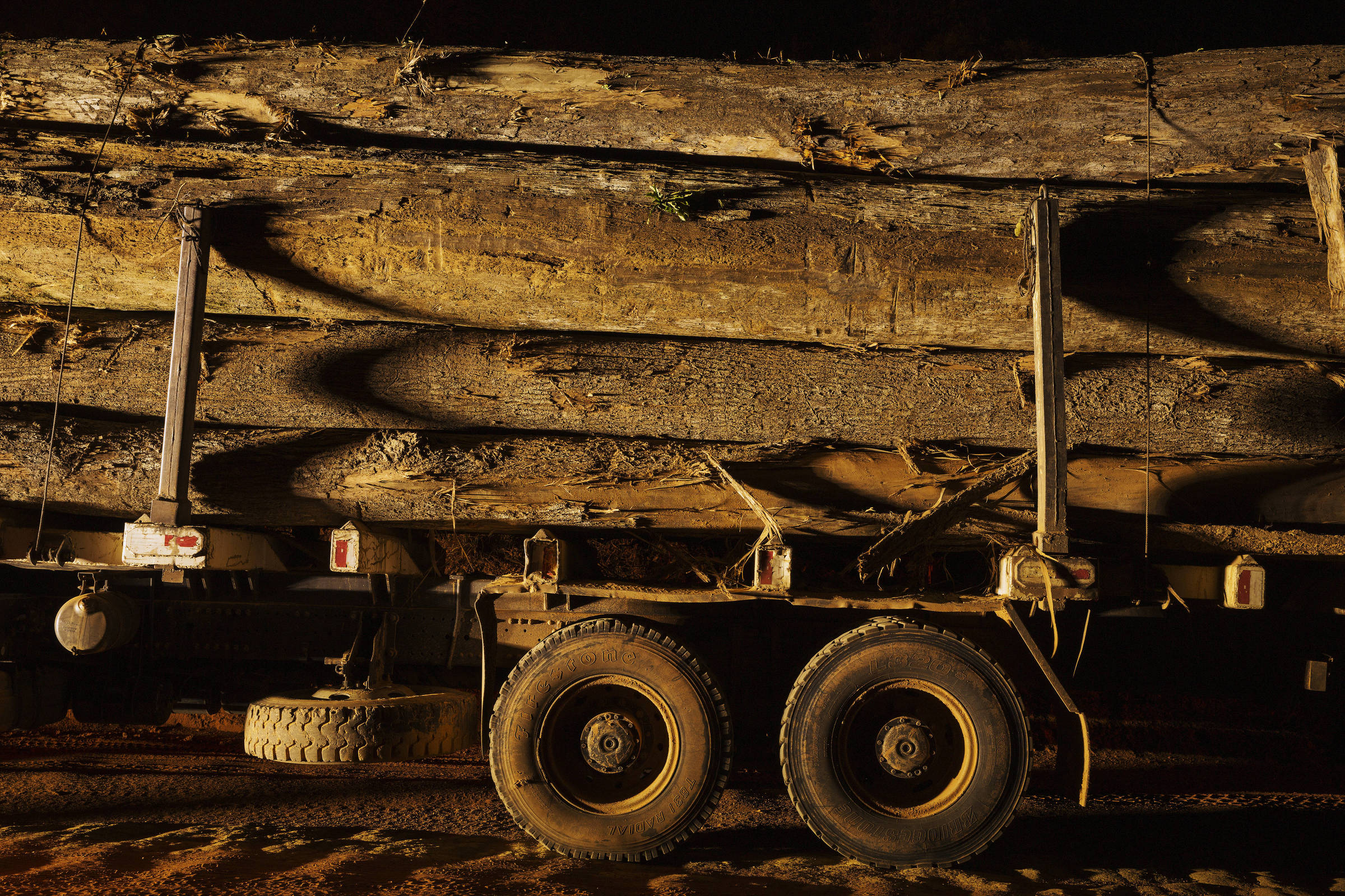 Caminhões são detidos transportando madeira ilegal no Pará