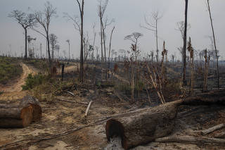 Desmatamento na floresta amazônica, no município de Apuí, Amazonas