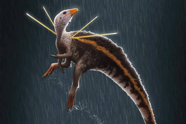 Paleontólogos brasileiros tentam repatriar o dinossauro cearense Ubirajara jubatus; o fóssil de 110 milhões de anos foi parar num museu alemão