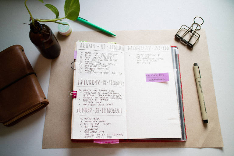 Mesa com agenda estilo "bullet journal", plantas, canetas e clipes.