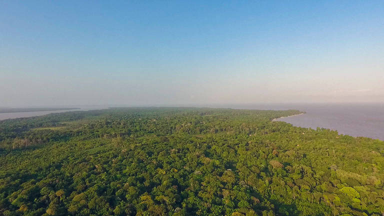 Comunidade da Pedra Branca, na ilha de Cotijuba, no Pará, região beneficiada pelo negócio social Da Tribu