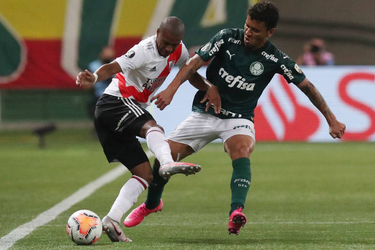 O Palmeiras, apesar do susto, se classificou para a final da Libertadores