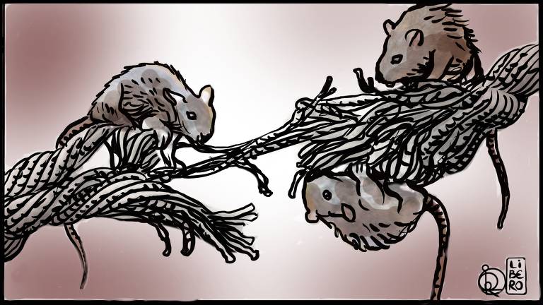 ratos roem uma corda prestes a se romper