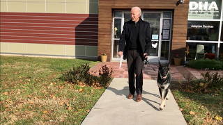Joe Biden guides his new rescue dog Major in Wilmington
