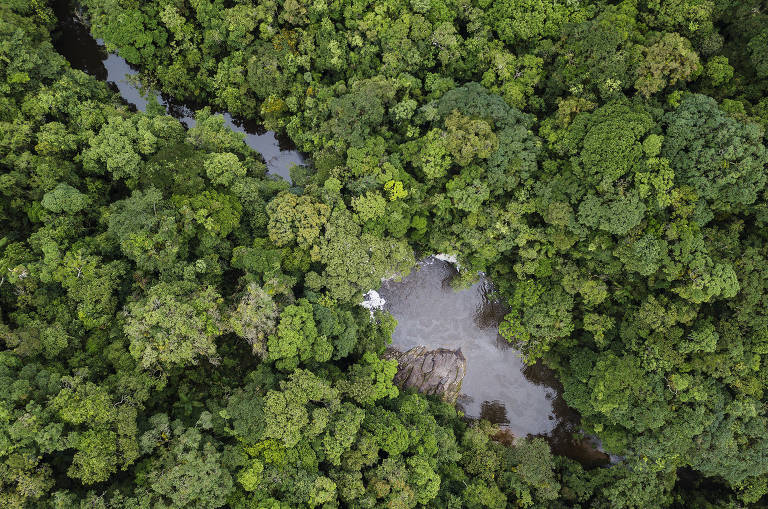 Vista aérea da cachoeira do Sagui 