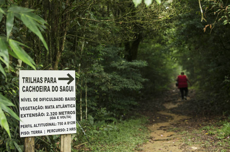 Trilha para a cachoeira do Sagui
