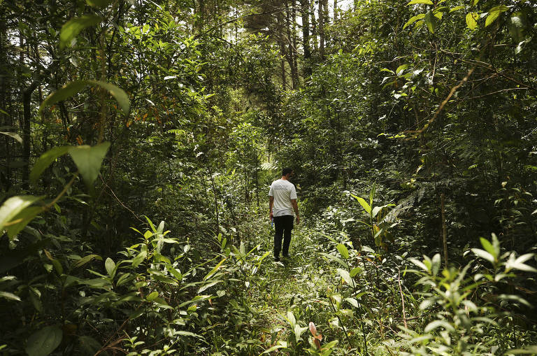 O guia Lucas Vieira Duarte, 29, caminha na trilha que leva à Cachoeira dos Manacás