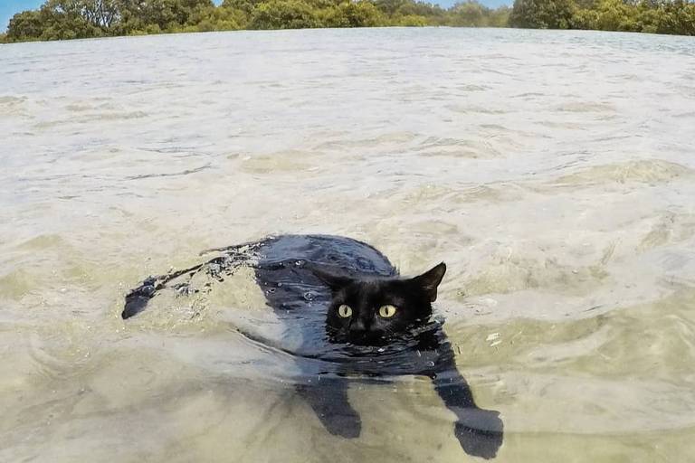 Nathan se diverte em Elliott Heads, na Austrália