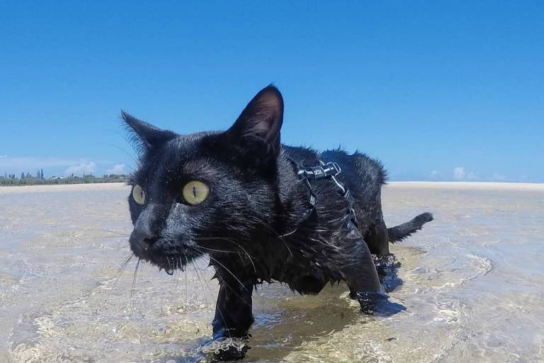 Nathan na praia de Gold Coast, em Queensland, na costa leste da Austrália
