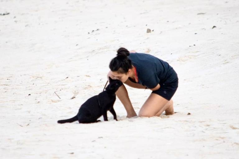 A gata ganha um carinho de Melissa Pietrobuono, em Pottsville, New South Wales