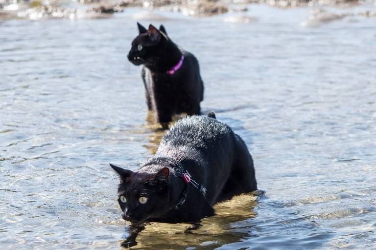 Nathan e Winnie curtem a água
