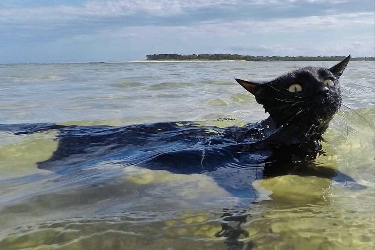 Nathan em Elliott Heads