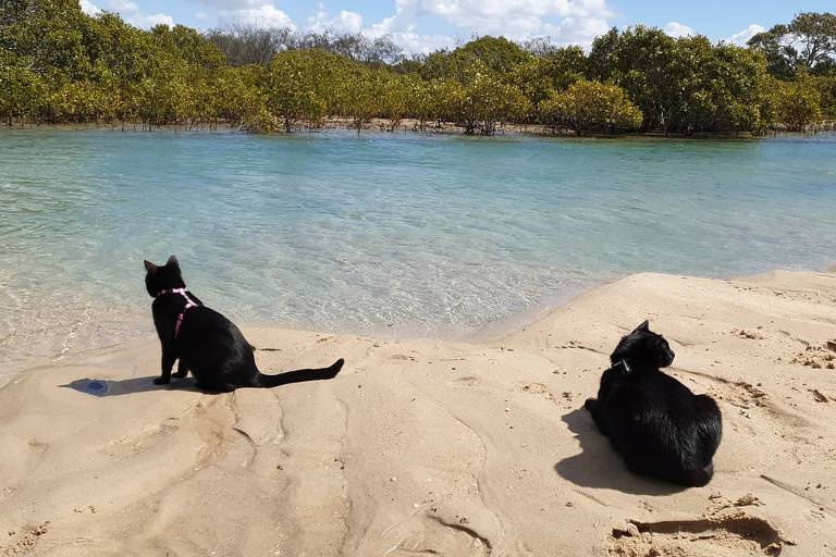 Nathan e Winnie contemplam a natureza em Elliott Heads