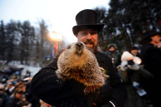 Punxsutawney Phil's co-handler AJ Dereume holds the famous groundhog on the 133rd Groundhog Day in Punxsutawney, Pennsylvania