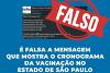 Estado alerta para falso calendário de vacinação em São ...