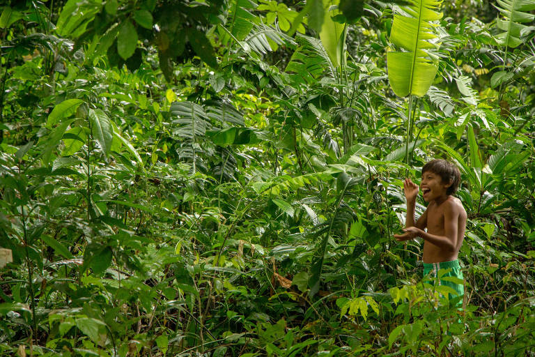 União Amazônia Viva realiza ações de enfrentamento à Covid-19 entre os povos da floresta
