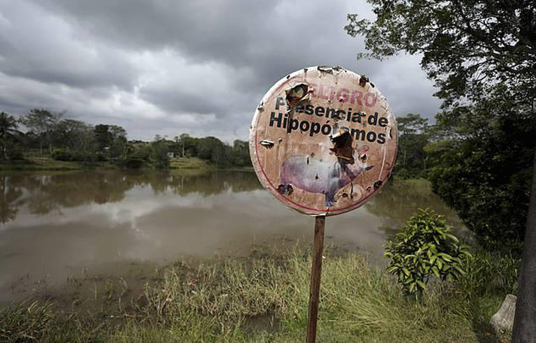 Alerta de hipopótamo na margem de uma lagoa perto de Doral, na Colômbia