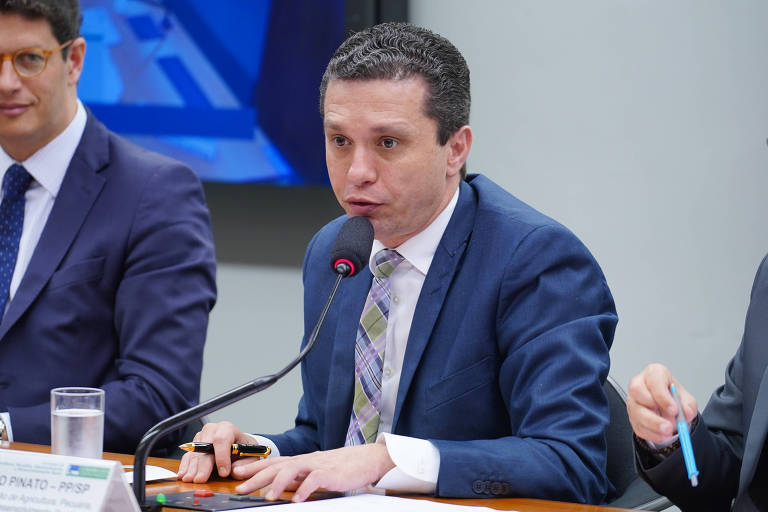 O deputado Fausto Pinato (PP-SP) durante audiência pública em comissão da Câmara
