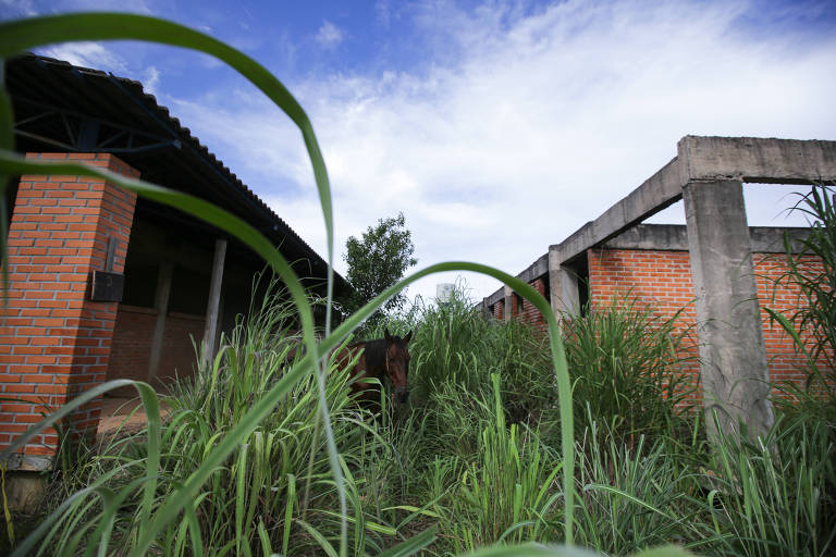 Prédio abandonado de escola planejada para atender estudantes do sexto ao nono ano e ensino médio na região de Jardim América, em Águas Lindas de Goiás (GO)