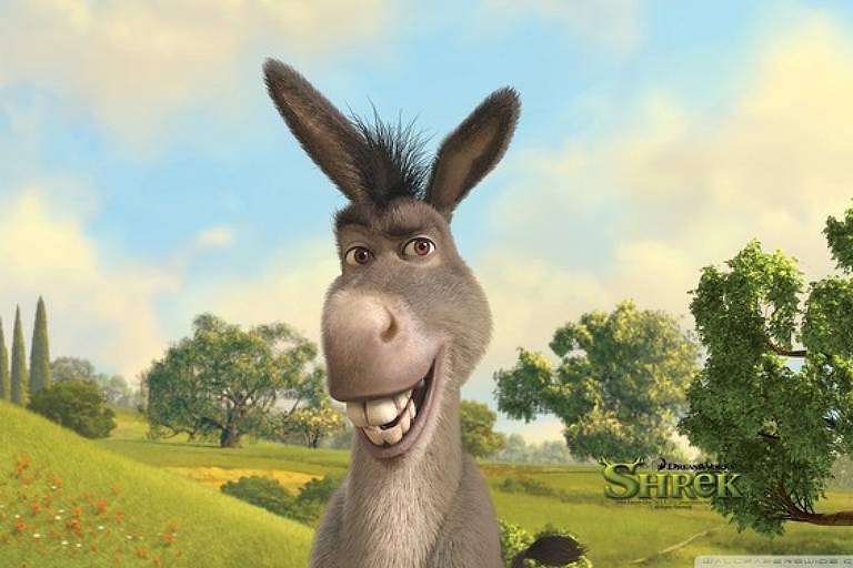 Burro do Shrek (@Burro_Do_Shrek) / X