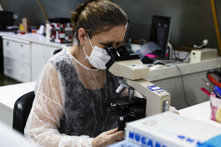 Mulheres cientistas ocupam apenas 2% dos cargos de liderança no Brasil, diz estudo