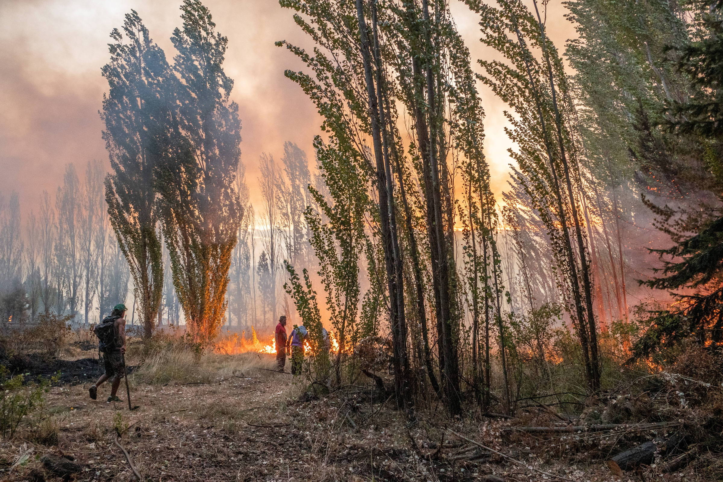 Incendios en la Patagonia argentina dejan decenas de desaparecidos – 10/03/2021 – Mundo