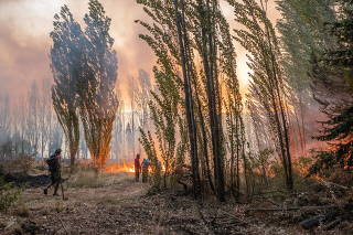 Wildfires rage across Golondrinas, Chubut province in Argentina