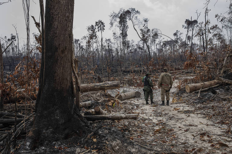 Dois homens estão de pé em meio a uma área com poucas árvores. O cenário parece queimado e com lama