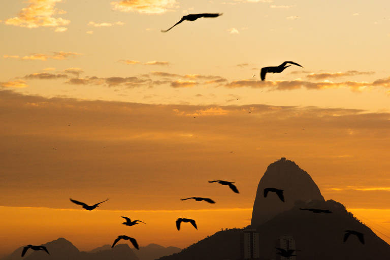 Fotos do amanhecer do Rio de Janeiro ao longo dos 365 dias de quarentena - mês de fevereiro de 2020