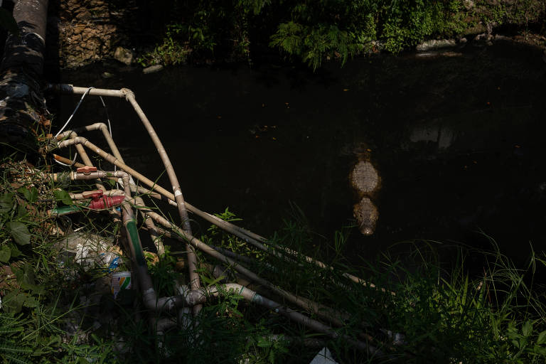 Ligação clandestina de água e esgoto fica a poucos metros da estação elevatória da Cedae