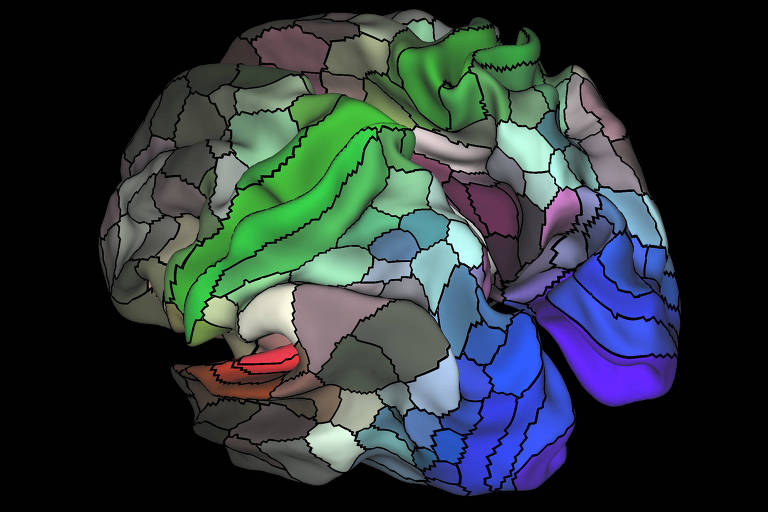 Representação de um cérebro
