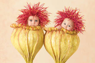 A photograph featuring babies by Anne Geddes. (Anne Geddes via The New York Times)