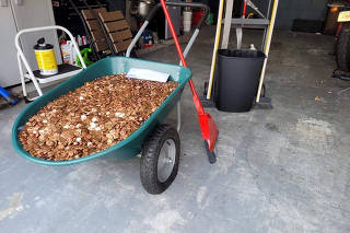 An undated photo provided by Olivia Oxley, shows a pile of pennies in a wheelbarrow that were gathered from the end of Andreas FlatenÄôs driveway. (Olivia Oxley via The New York Times)