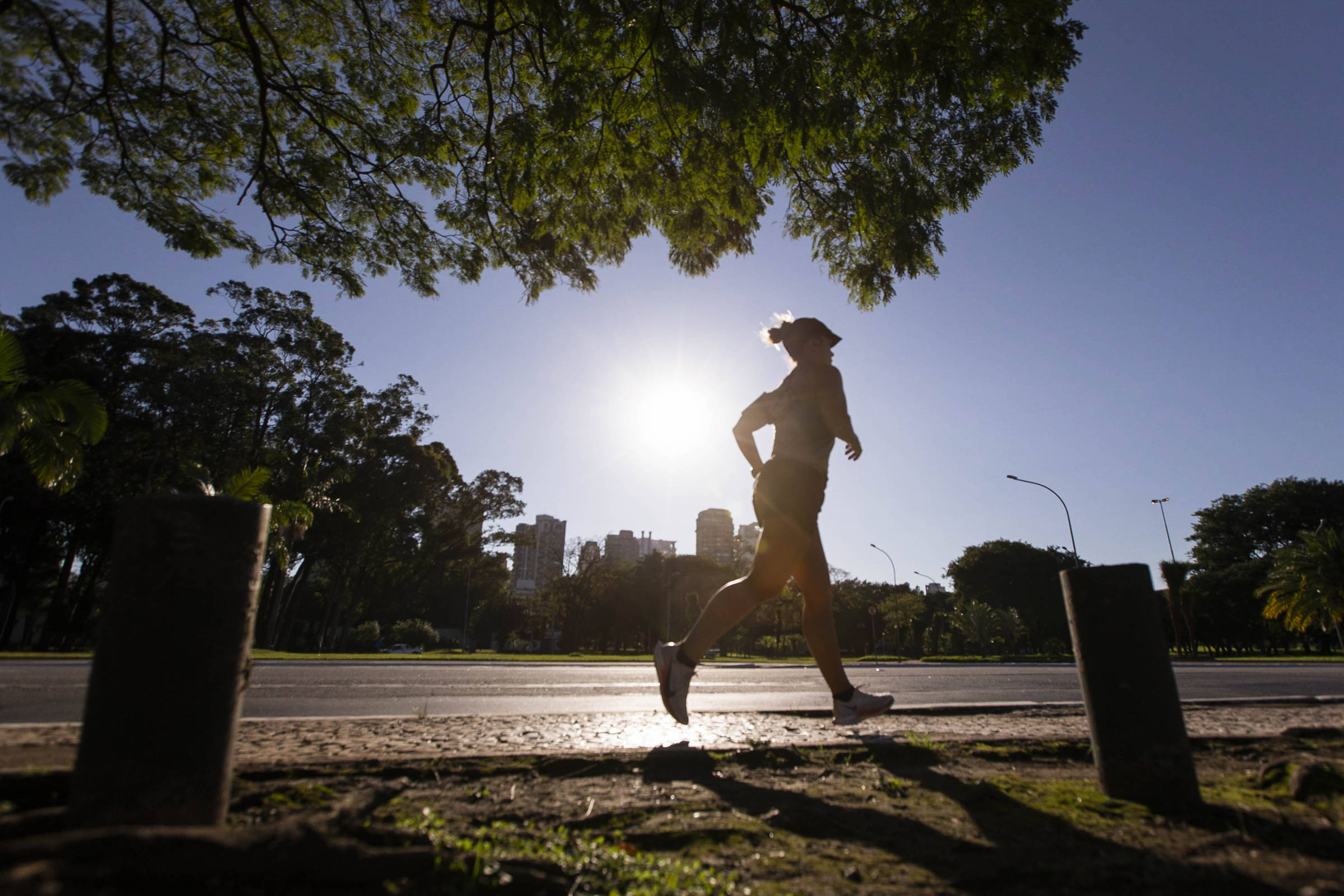 Pessoa corre em chão de asfalto em imagem contra o sol. No alto da foto, saindo do canto superior esquerdo até a metade, a copa de uma árvore