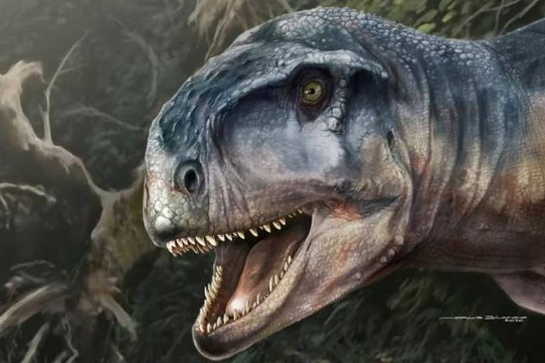 Novo T-rex: cientistas descobrem fóssil de dinossauro gigante com braços  curtos