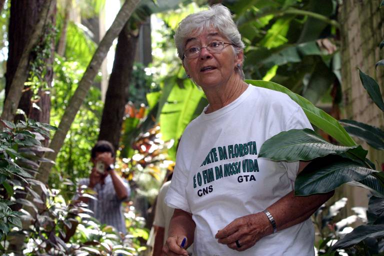 Dorothy Stang veste camiseta branca com uma inscrição. Ela está no meio do mato, com árvores ao redor