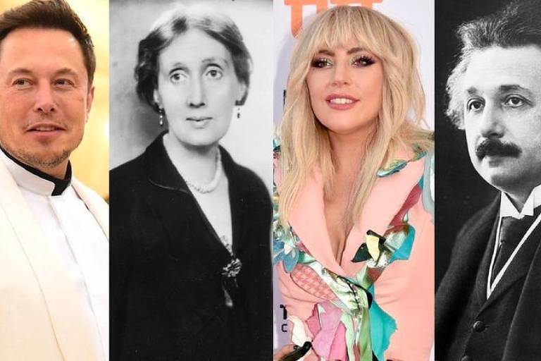 Elon Musk, Virginia Woolf, Lady Gaga e Albert Einstein são exemplos de gênios do passado e do presente segundo Wright