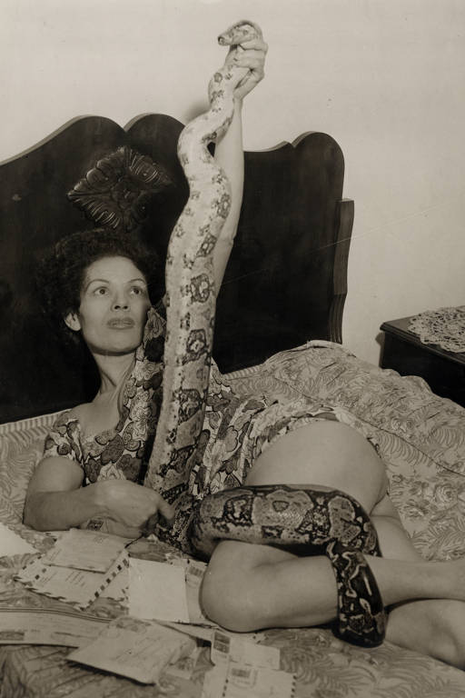 Faquiresas se deitavam sobre camas de prego e tinham cobras de estimação no Brasil dos anos 1950