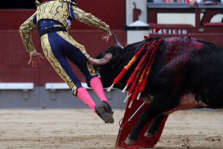 Homem de roupa bordada de ouro e meias cor de rosa choque parece boar ao ser atingido por um grande touro, que tem bandeirolas vermelhas fincadas nos ombros