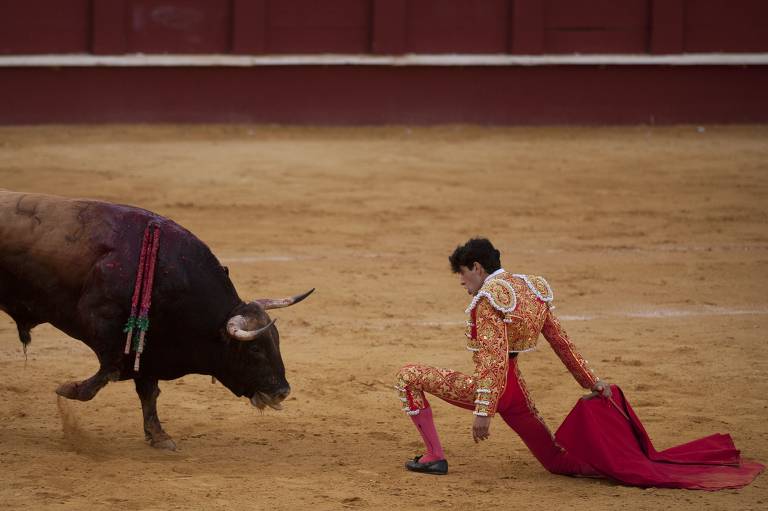 Público de touradas na Espanha cai pela metade em menos de uma década -  15/08/2019 - Cotidiano - Folha