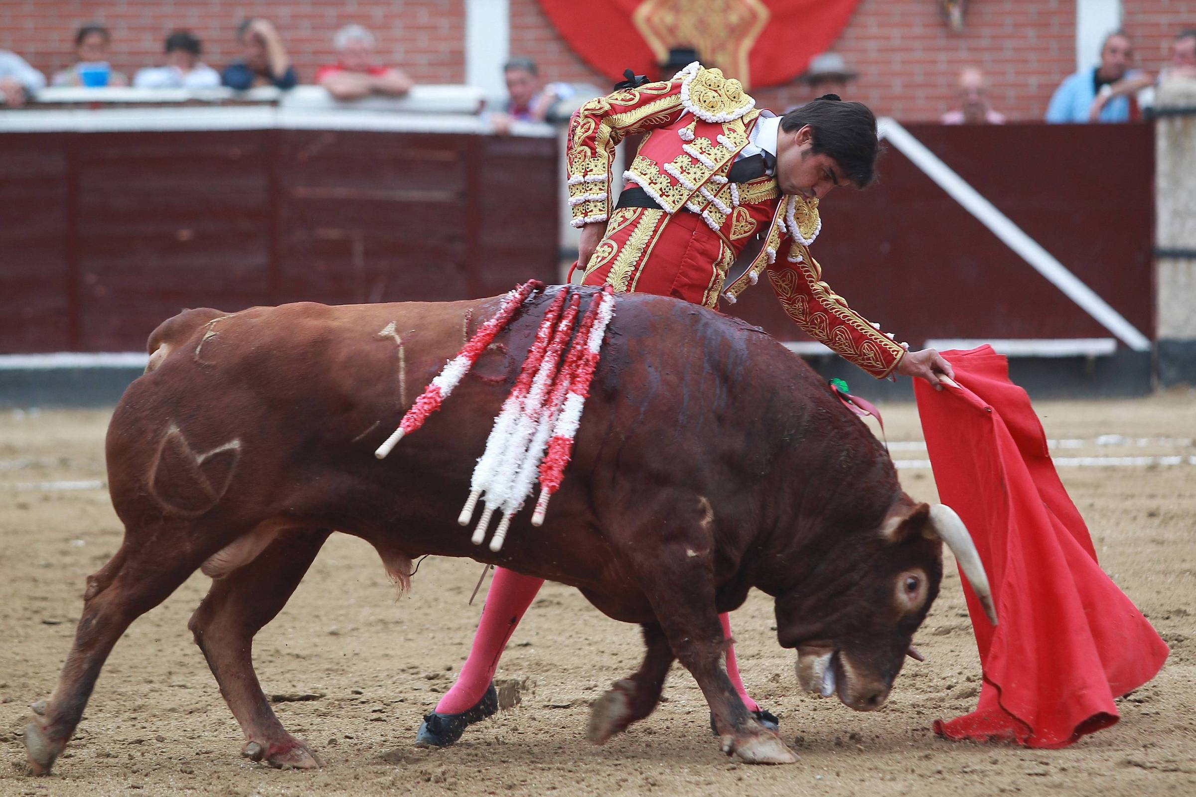 Espanha: corrida de touros nas ruas de Valência deixa três mortos