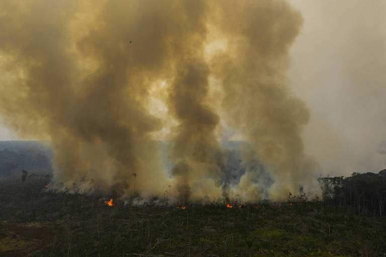 Incêndios na Amazônia atingem maior volume para junho em 15 anos