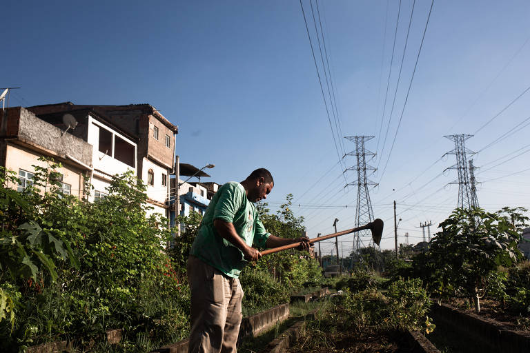 Folha Rural Nº 20