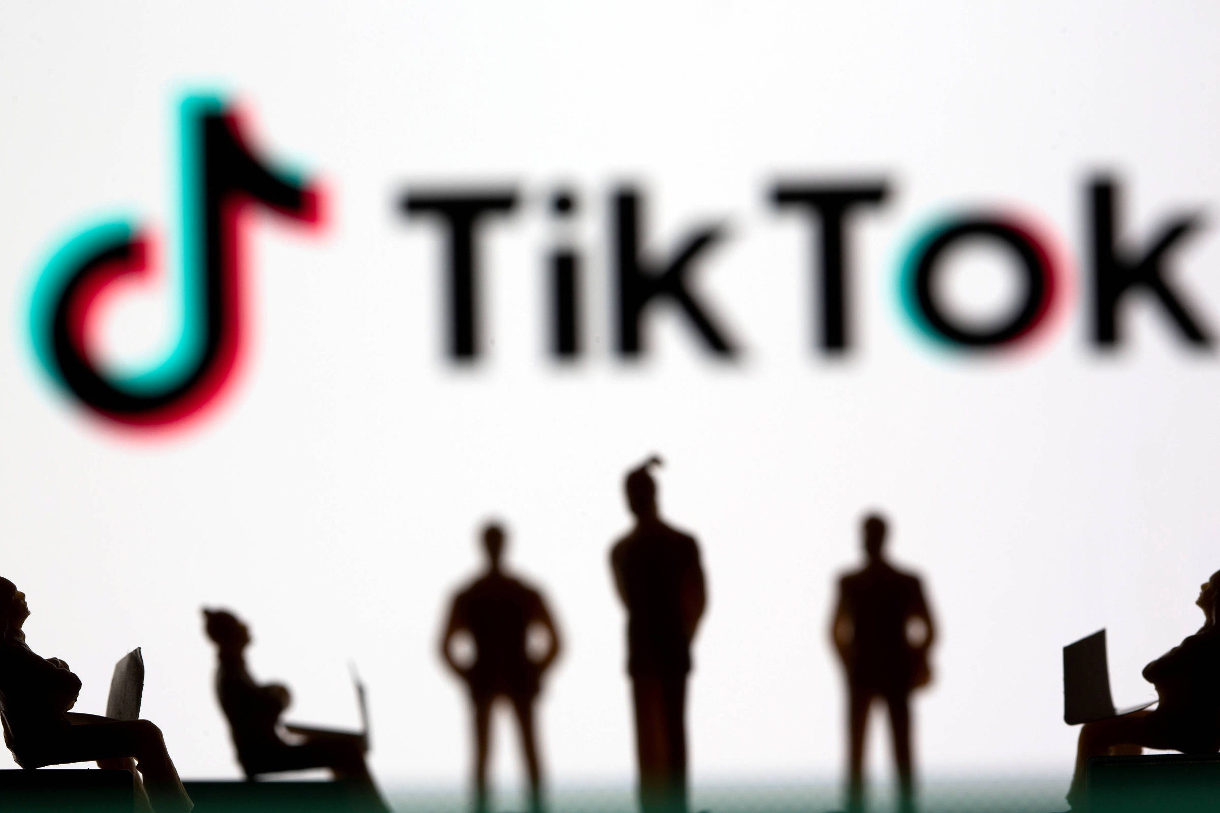 caixa bob projetos｜Pesquisa do TikTok