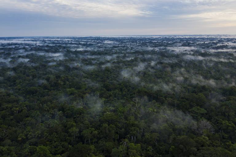 Rodovia ameaça região de maior biodiversidade do Brasil, no Acre