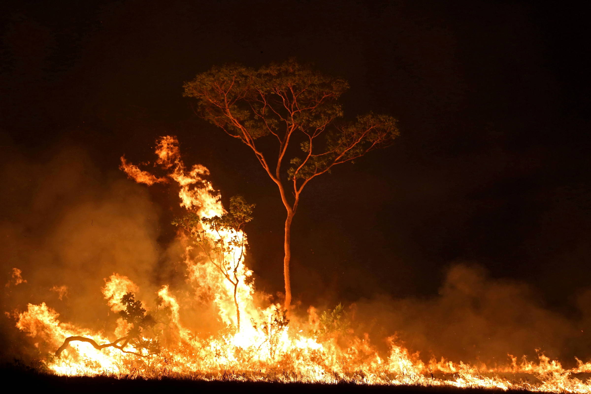 Povo indígena do AM aciona órgãos públicos por danos ambientais