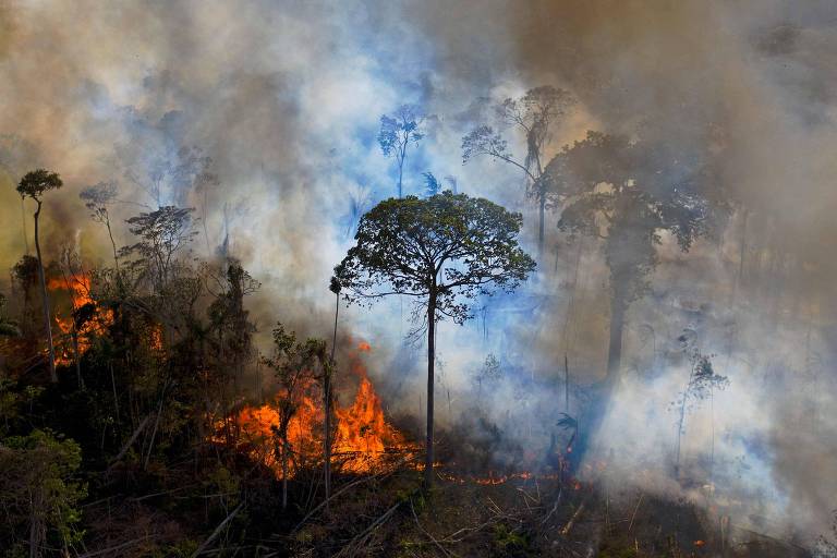 Incêndio atinge floresta no Pará