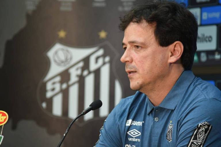 Fernando Diniz concede entrevista em sua apresentação como técnico do Santos
