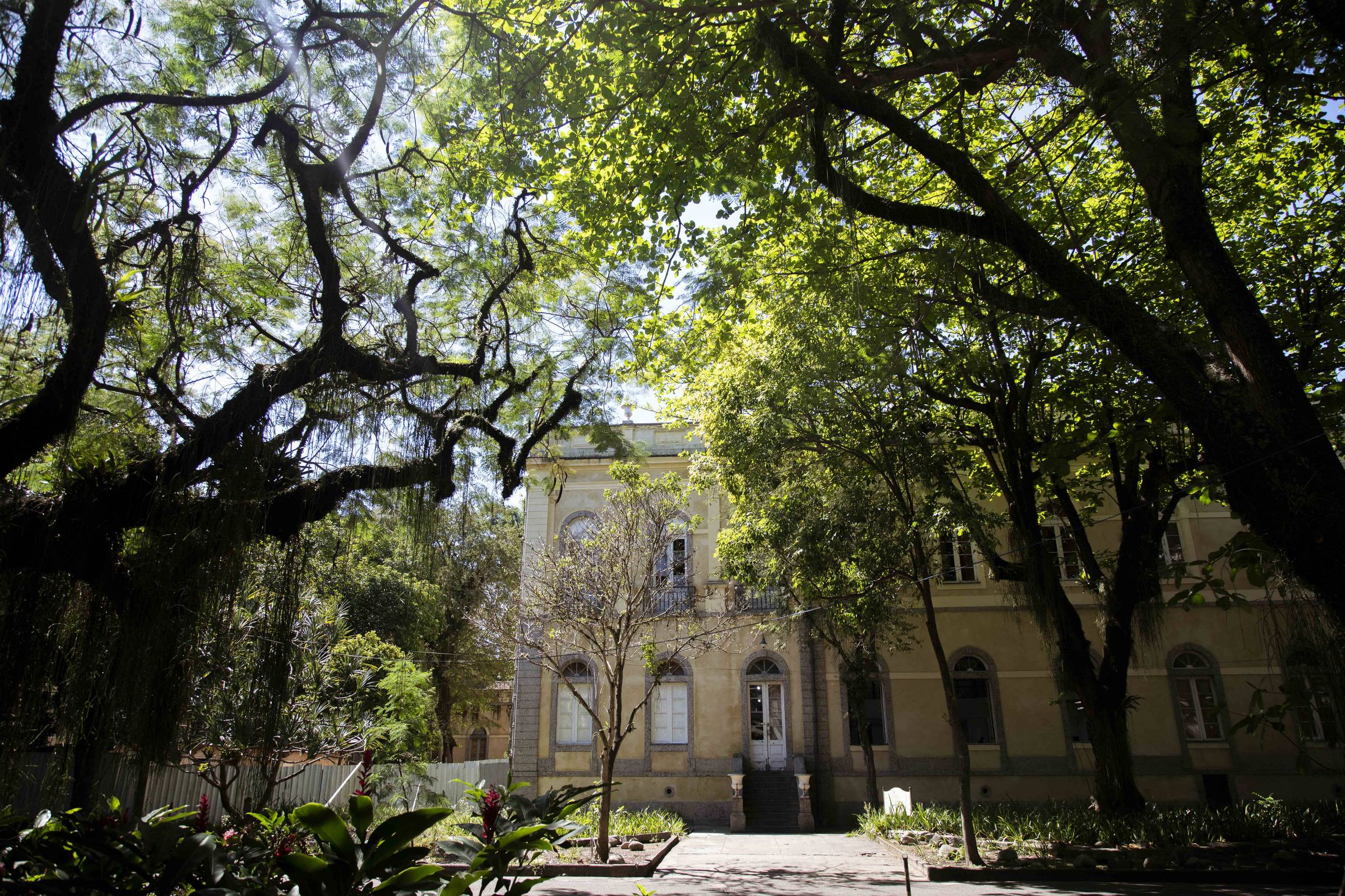 Nenhum país do mundo enfrenta Covid parando uma de suas melhores universidades por falta de verba