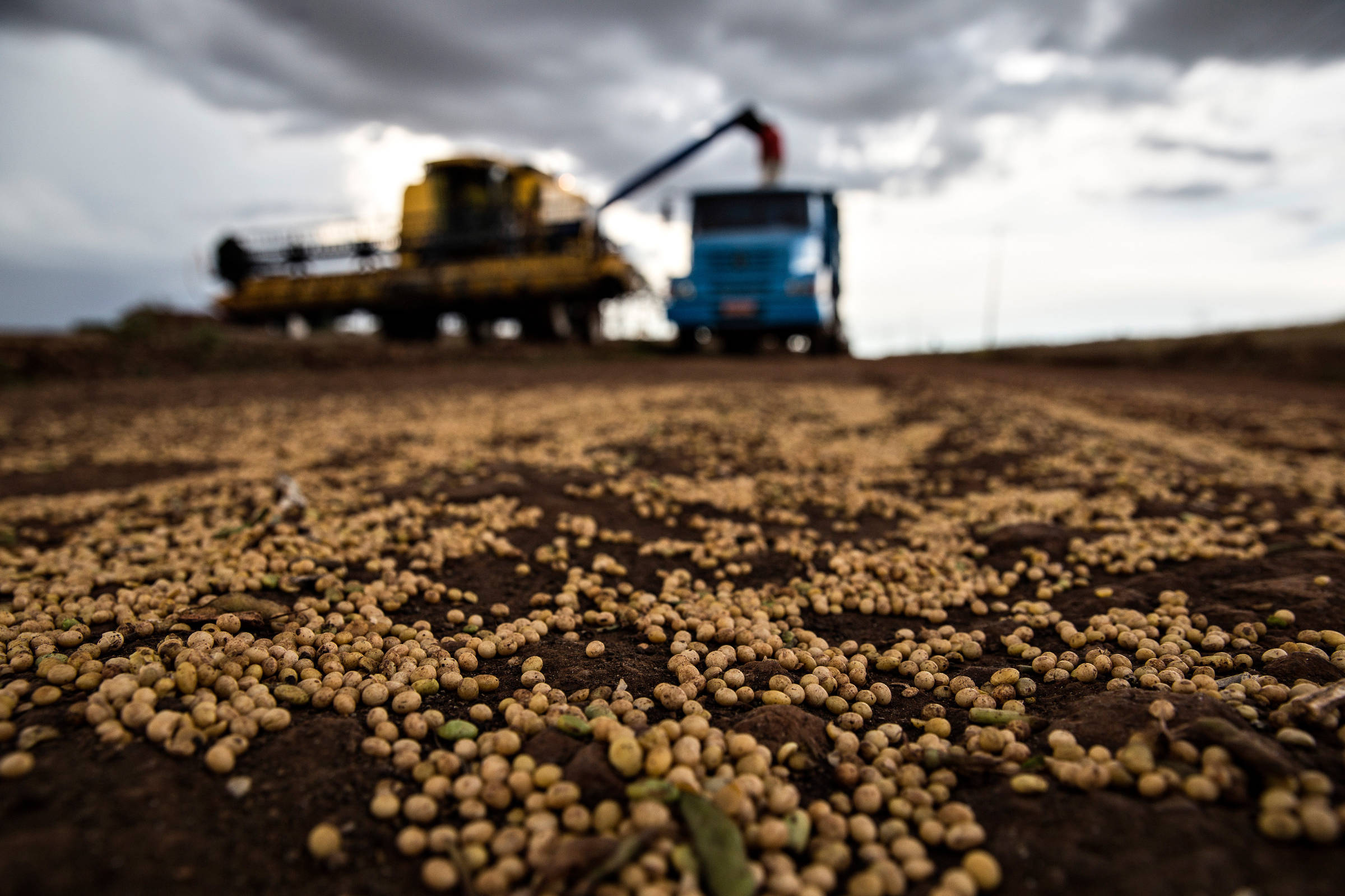 Se clima ajudar, estoque interno de alimentos sobe 162% no ano